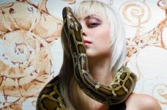 Змея Овен: характер, любовь, совместимость, работа, таланты Любовный гороскоп овен год змеи