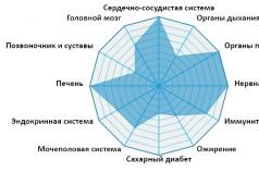 Legea municipală E. S. Shugrina a Federației Ruse.  Participarea administrațiilor locale la relațiile de credit Legea din 28 august 1995