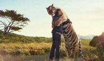 Ce înseamnă un tigru într-un vis?