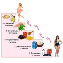 питание на 2 месяца для похудения питание на 2 месяца для похудения